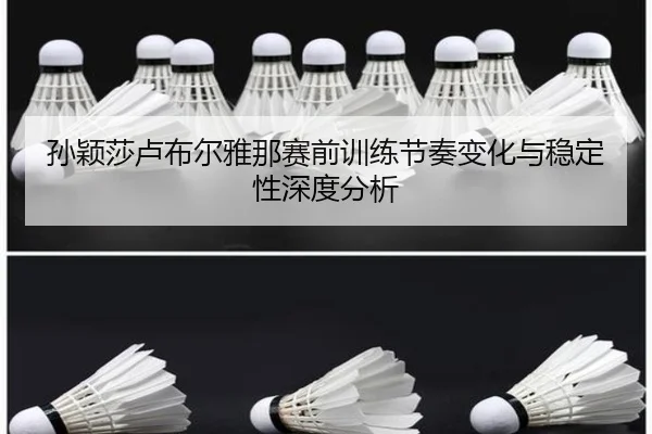 孙颖莎卢布尔雅那赛前训练节奏变化与稳定性深度分析（leyu）
